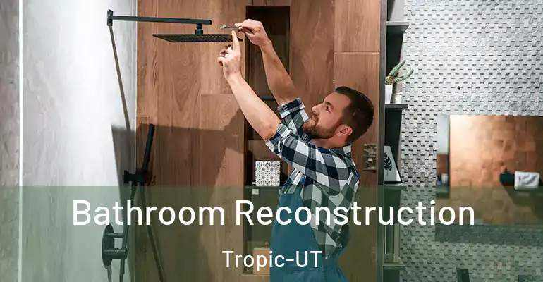 inner Bathroom imggen Bathroom Reconstruction Tropic-UT