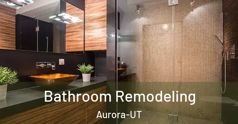 inner Bathroom imggen Bathroom Remodeling Aurora-UT