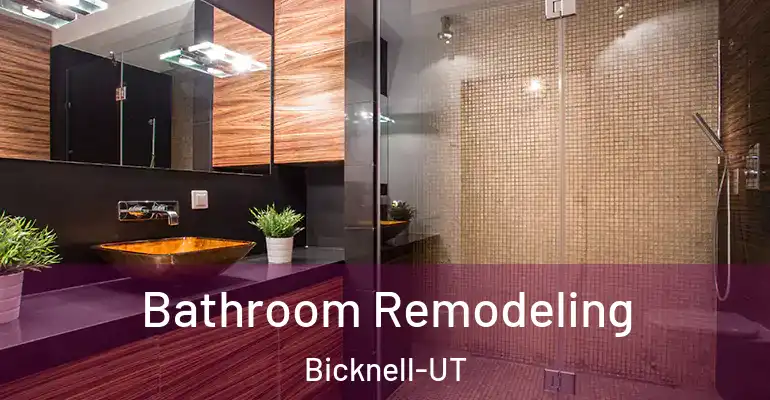 inner Bathroom imggen Bathroom Remodeling Bicknell-UT