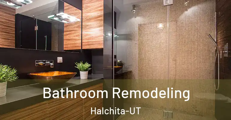 inner Bathroom imggen Bathroom Remodeling Halchita-UT
