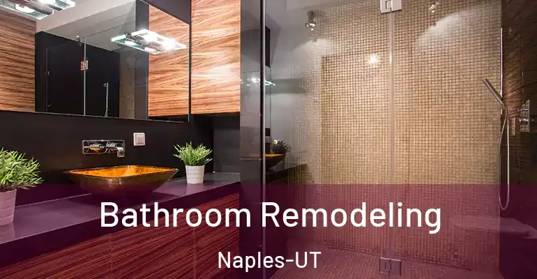 inner Bathroom imggen Bathroom Remodeling Naples-UT