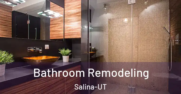 inner Bathroom imggen Bathroom Remodeling Salina-UT