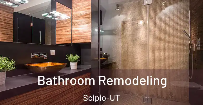 inner Bathroom imggen Bathroom Remodeling Scipio-UT