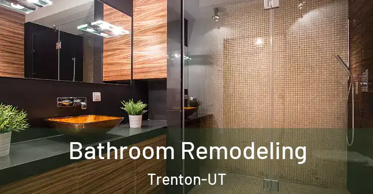 inner Bathroom imggen Bathroom Remodeling Trenton-UT