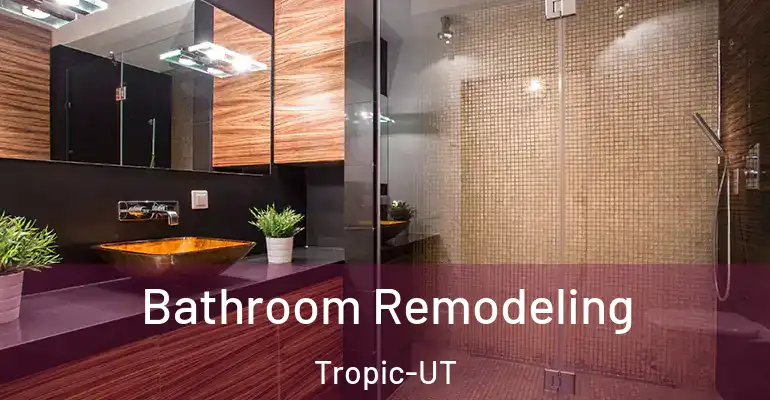 inner Bathroom imggen Bathroom Remodeling Tropic-UT
