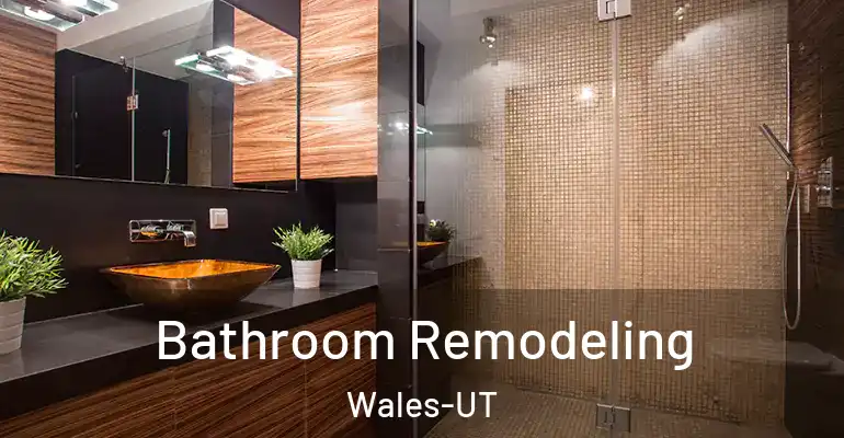 inner Bathroom imggen Bathroom Remodeling Wales-UT