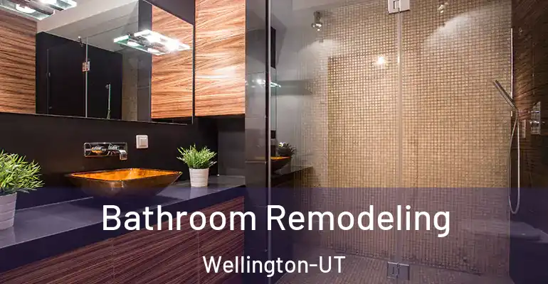 inner Bathroom imggen Bathroom Remodeling Wellington-UT