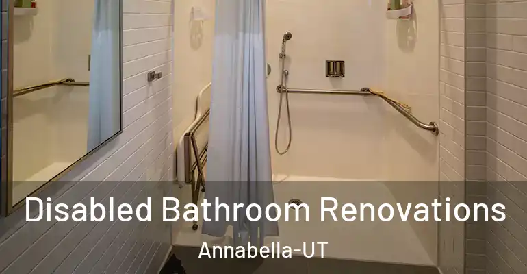 inner Bathroom imggen Disabled Bathroom Renovations Annabella-UT