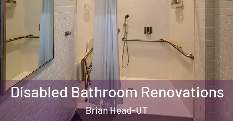 inner Bathroom imggen Disabled Bathroom Renovations Brian Head-UT