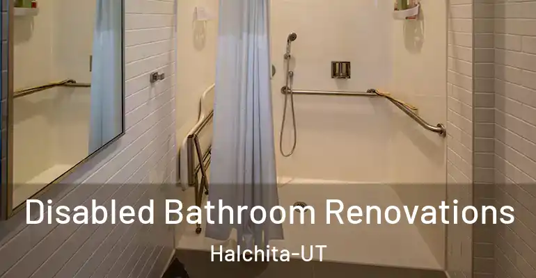 inner Bathroom imggen Disabled Bathroom Renovations Halchita-UT