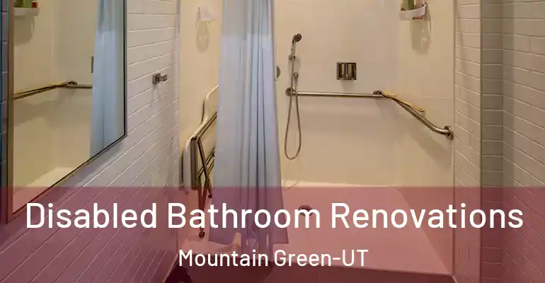 inner Bathroom imggen Disabled Bathroom Renovations Mountain Green-UT