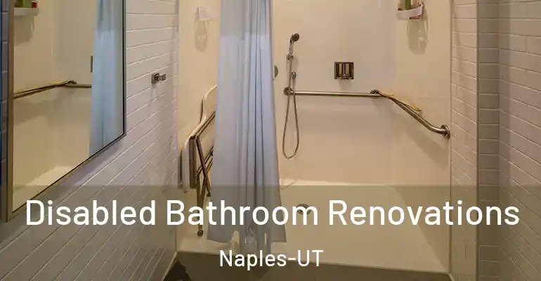 inner Bathroom imggen Disabled Bathroom Renovations Naples-UT