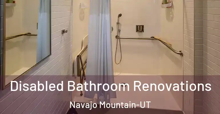 inner Bathroom imggen Disabled Bathroom Renovations Navajo Mountain-UT