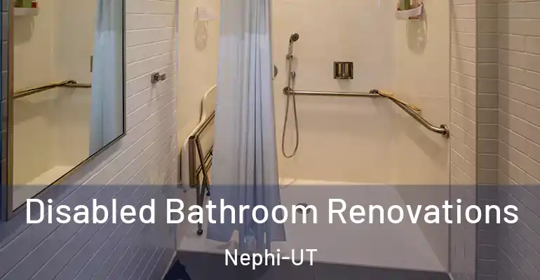 inner Bathroom imggen Disabled Bathroom Renovations Nephi-UT