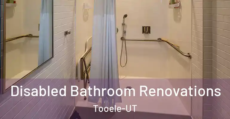 inner Bathroom imggen Disabled Bathroom Renovations Tooele-UT
