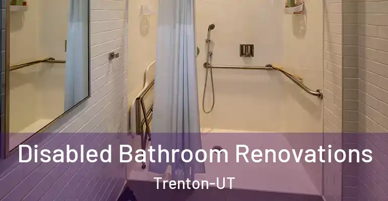 inner Bathroom imggen Disabled Bathroom Renovations Trenton-UT