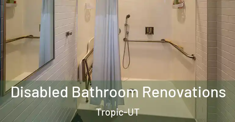 inner Bathroom imggen Disabled Bathroom Renovations Tropic-UT