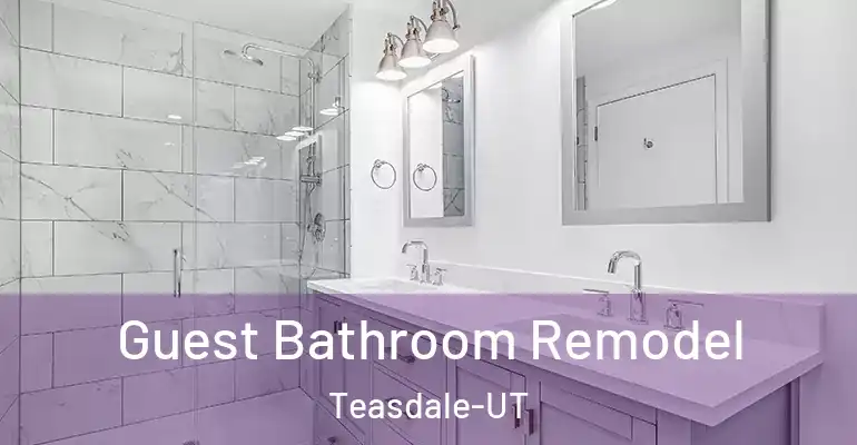 inner Bathroom imggen Guest Bathroom Remodel Teasdale-UT