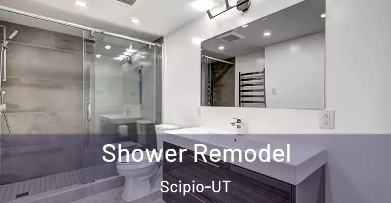 inner Bathroom imggen Shower Remodel Scipio-UT