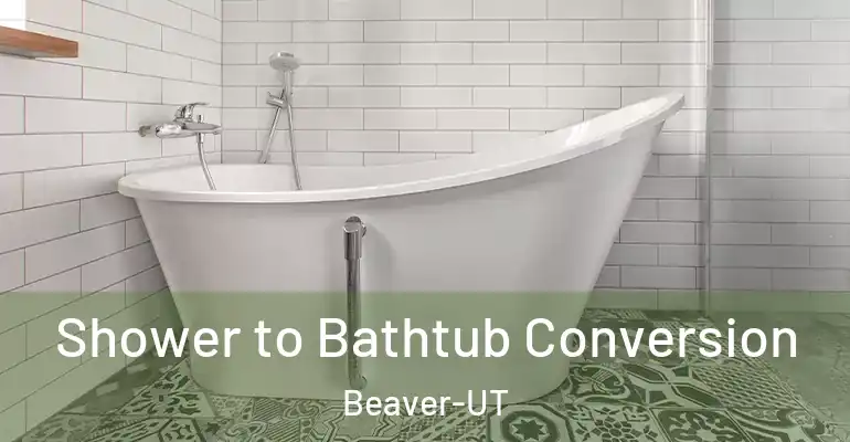 inner Bathroom imggen Shower to Bathtub Conversion Beaver-UT