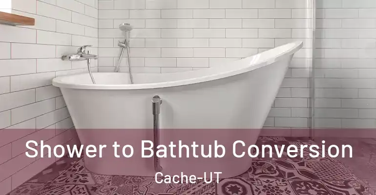 inner Bathroom imggen Shower to Bathtub Conversion Cache-UT