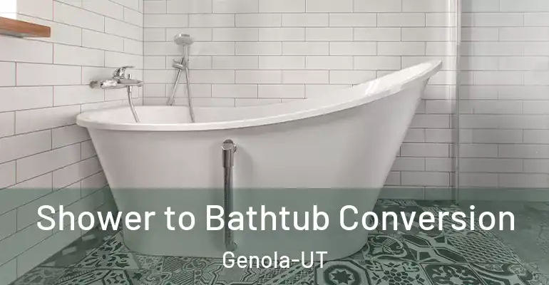 inner Bathroom imggen Shower to Bathtub Conversion Genola-UT