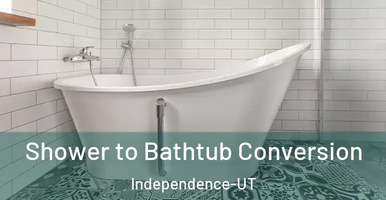 inner Bathroom imggen Shower to Bathtub Conversion Independence-UT