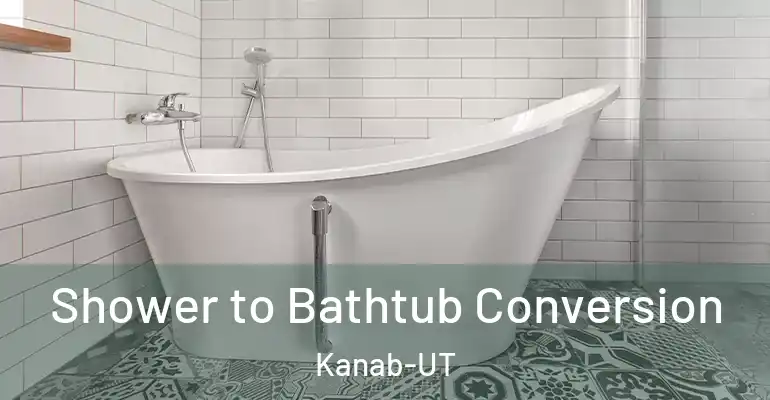 inner Bathroom imggen Shower to Bathtub Conversion Kanab-UT