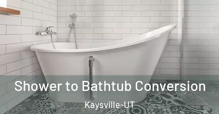 inner Bathroom imggen Shower to Bathtub Conversion Kaysville-UT