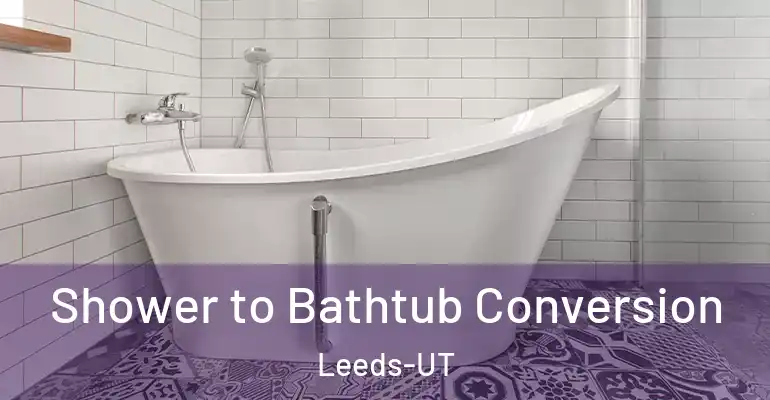inner Bathroom imggen Shower to Bathtub Conversion Leeds-UT