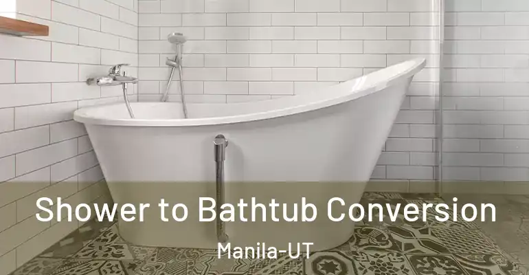 inner Bathroom imggen Shower to Bathtub Conversion Manila-UT