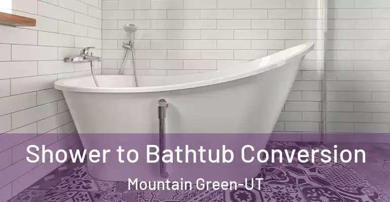inner Bathroom imggen Shower to Bathtub Conversion Mountain Green-UT