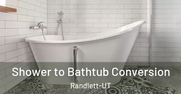 inner Bathroom imggen Shower to Bathtub Conversion Randlett-UT