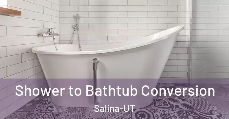 inner Bathroom imggen Shower to Bathtub Conversion Salina-UT