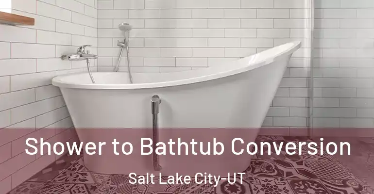 inner Bathroom imggen Shower to Bathtub Conversion Salt Lake City-UT