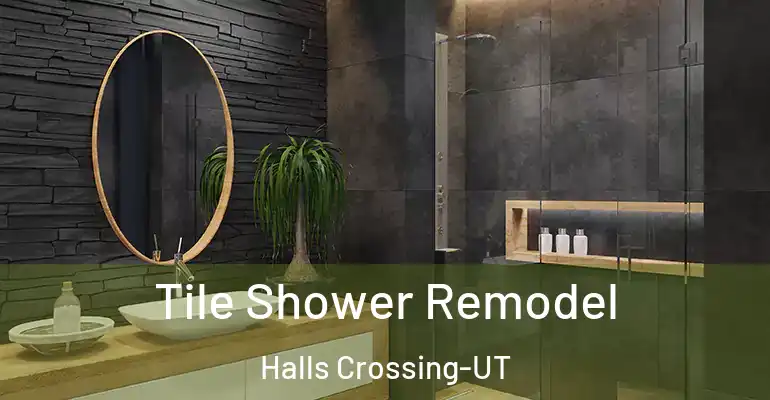inner Bathroom imggen Tile Shower Remodel Halls Crossing-UT
