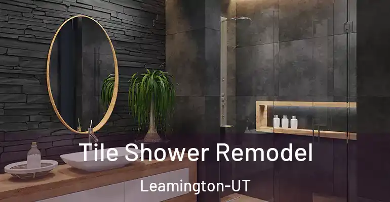 inner Bathroom imggen Tile Shower Remodel Leamington-UT