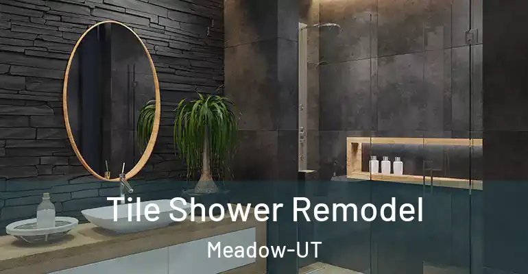 inner Bathroom imggen Tile Shower Remodel Meadow-UT