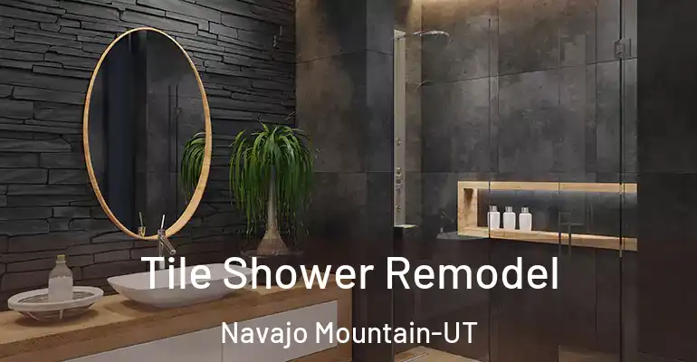 inner Bathroom imggen Tile Shower Remodel Navajo Mountain-UT