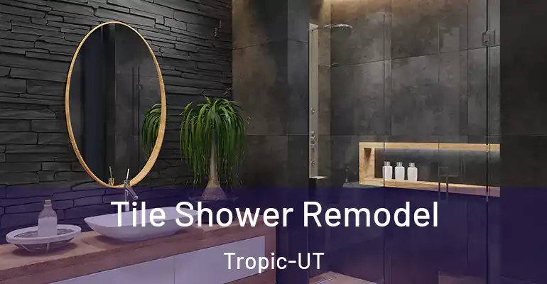 inner Bathroom imggen Tile Shower Remodel Tropic-UT