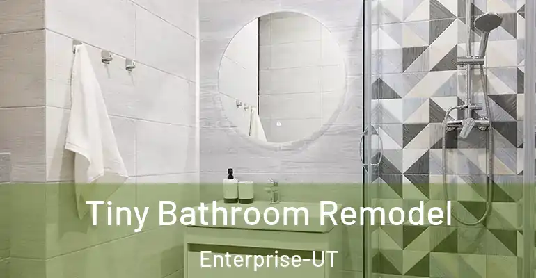 inner Bathroom imggen Tiny Bathroom Remodel Enterprise-UT
