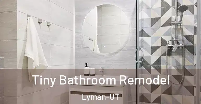 inner Bathroom imggen Tiny Bathroom Remodel Lyman-UT
