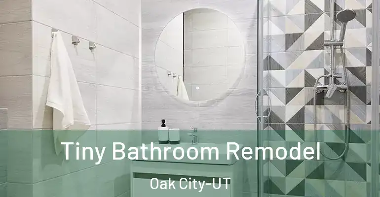 inner Bathroom imggen Tiny Bathroom Remodel Oak City-UT