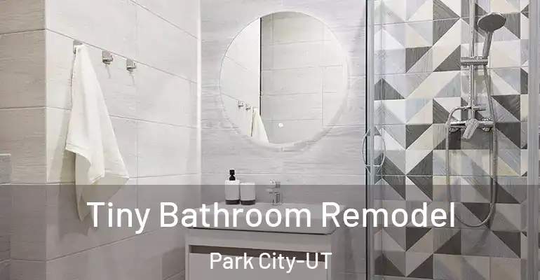 inner Bathroom imggen Tiny Bathroom Remodel Park City-UT
