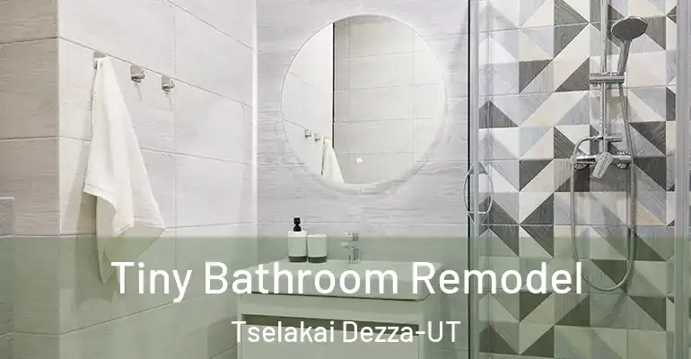 inner Bathroom imggen Tiny Bathroom Remodel Tselakai Dezza-UT