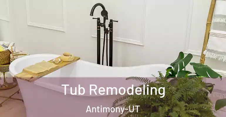 inner Bathroom imggen Tub Remodeling Antimony-UT
