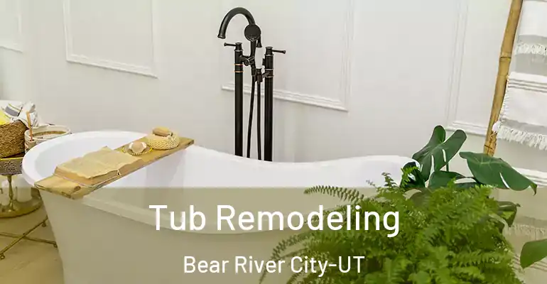 inner Bathroom imggen Tub Remodeling Bear River City-UT