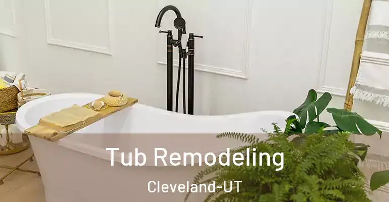 inner Bathroom imggen Tub Remodeling Cleveland-UT