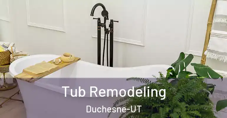 inner Bathroom imggen Tub Remodeling Duchesne-UT