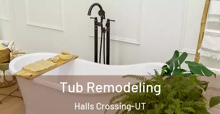 inner Bathroom imggen Tub Remodeling Halls Crossing-UT